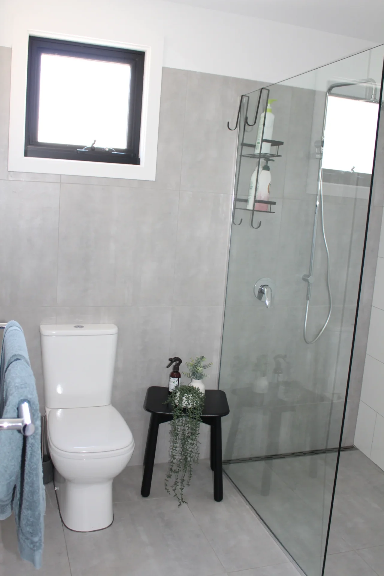 Modern bathroom with shower and toilet facilities.