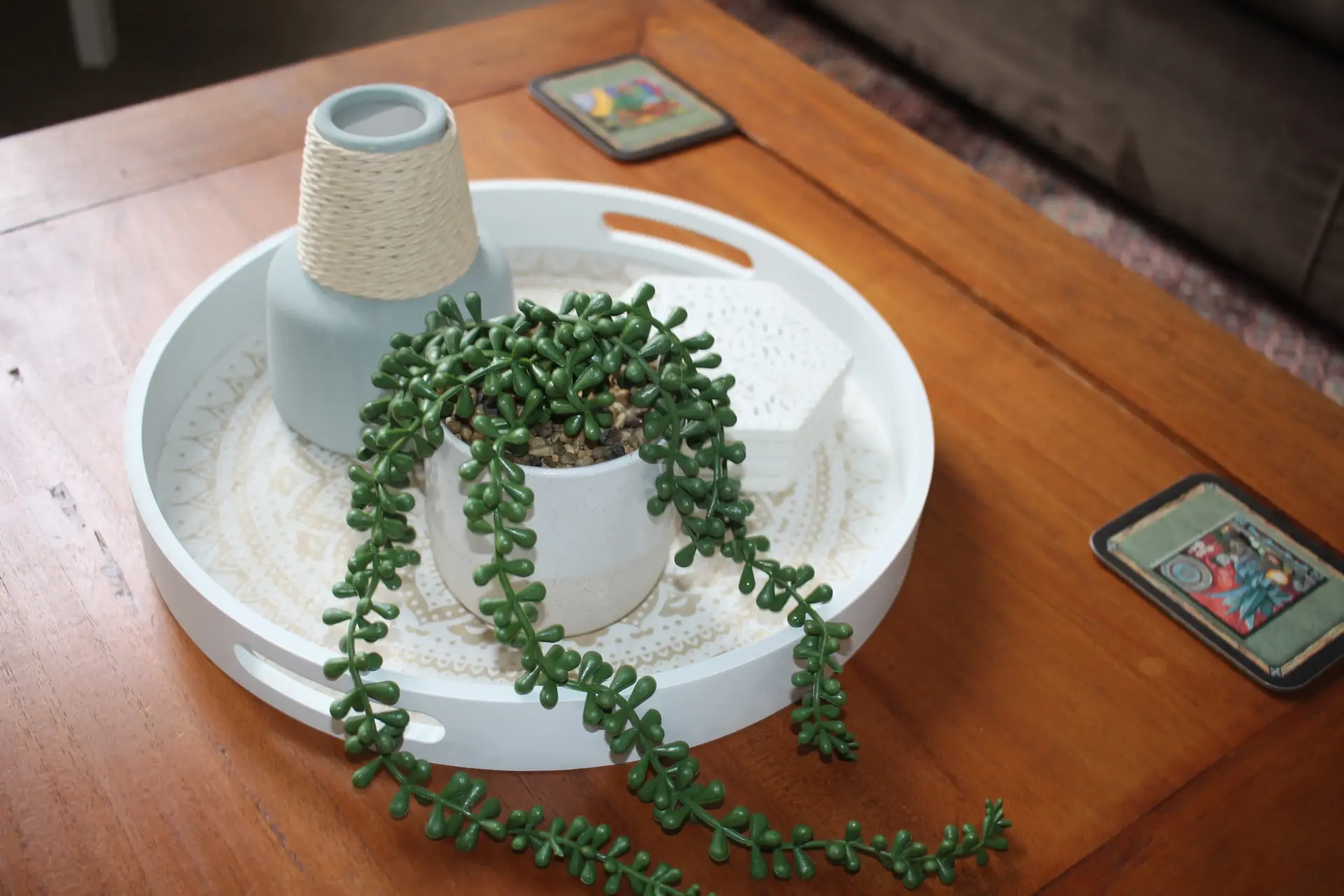 Potted succulent on white tray coffee table
