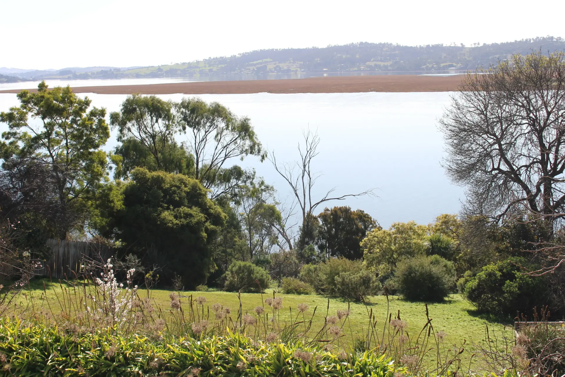 Lush greenery by a tranquil water body