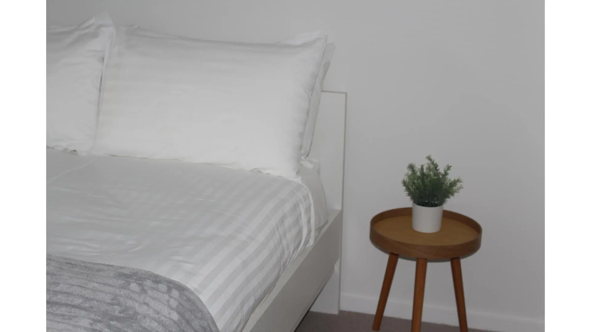 Bed with pillows and bedside table with plant.
