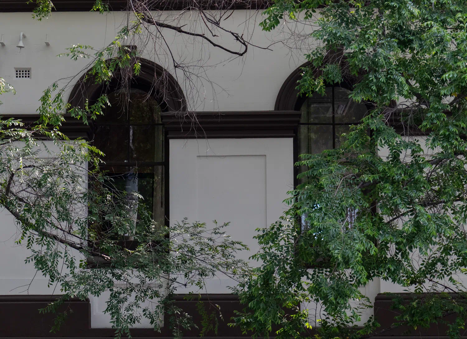 Close-up of building with greenery surrounding windows.