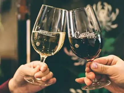Two glasses of red and white wine clinking