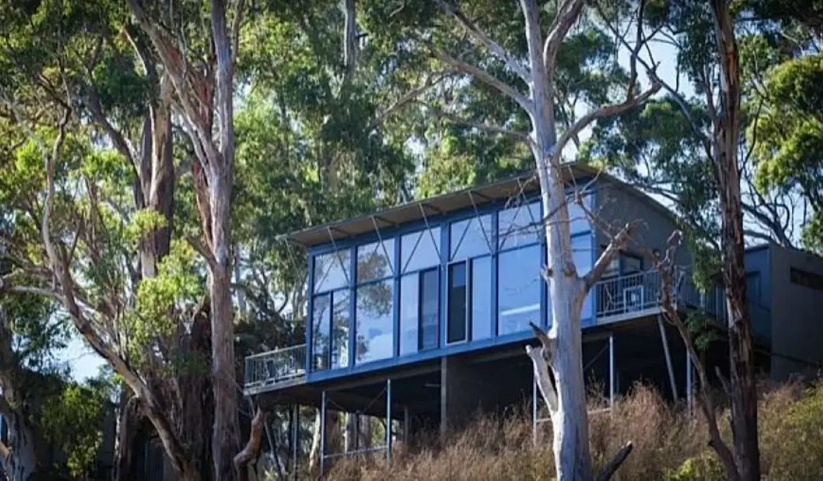 Modern glass house among eucalyptus trees on hillside
